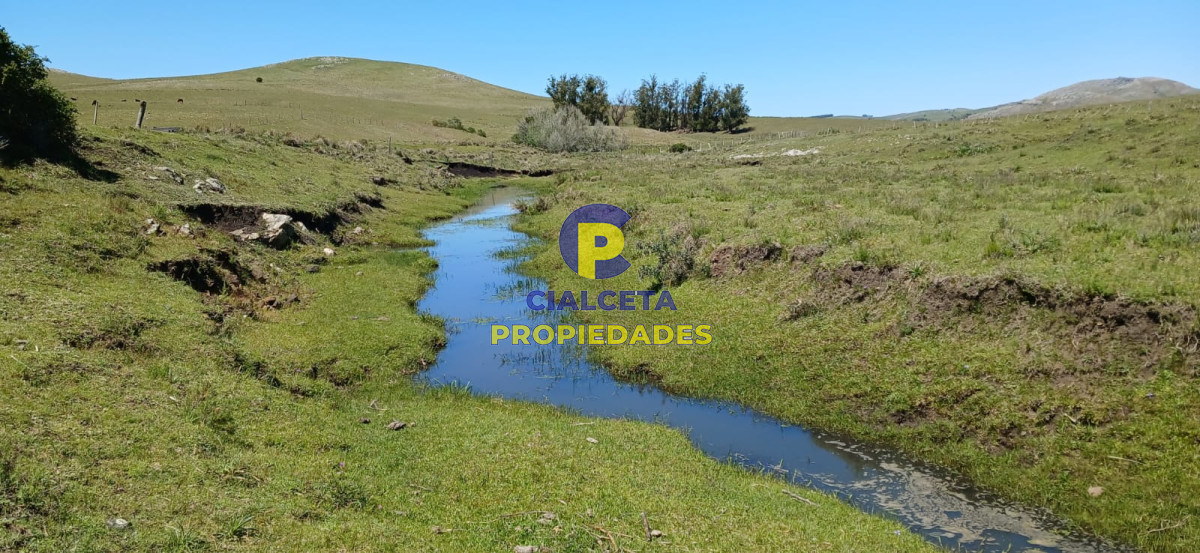 Campo Ref.324 - 215 hectáreas en Lavalleja