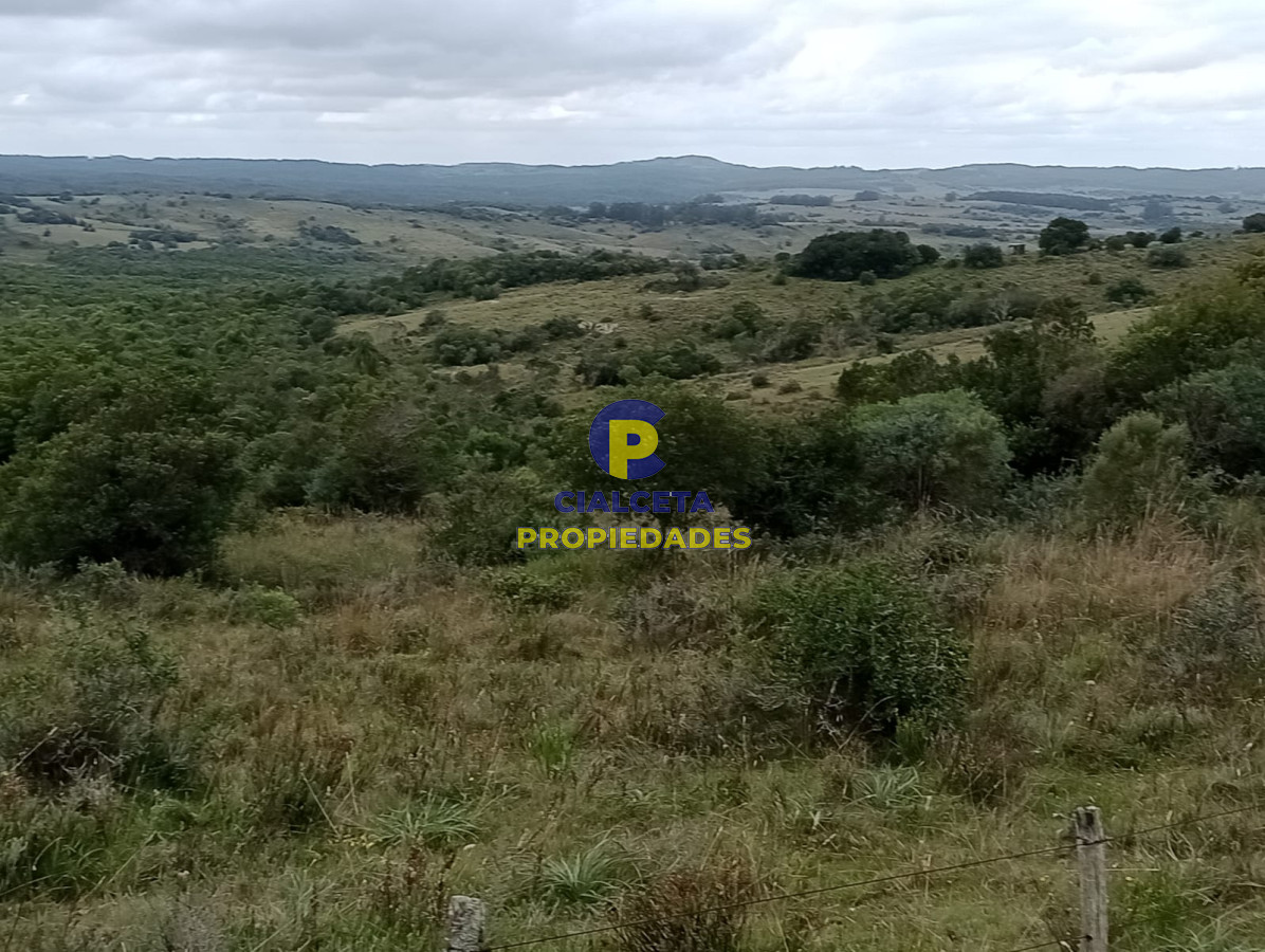 Campo Ref.195 - 48 hectáreas con 8 mil metros en Garzón