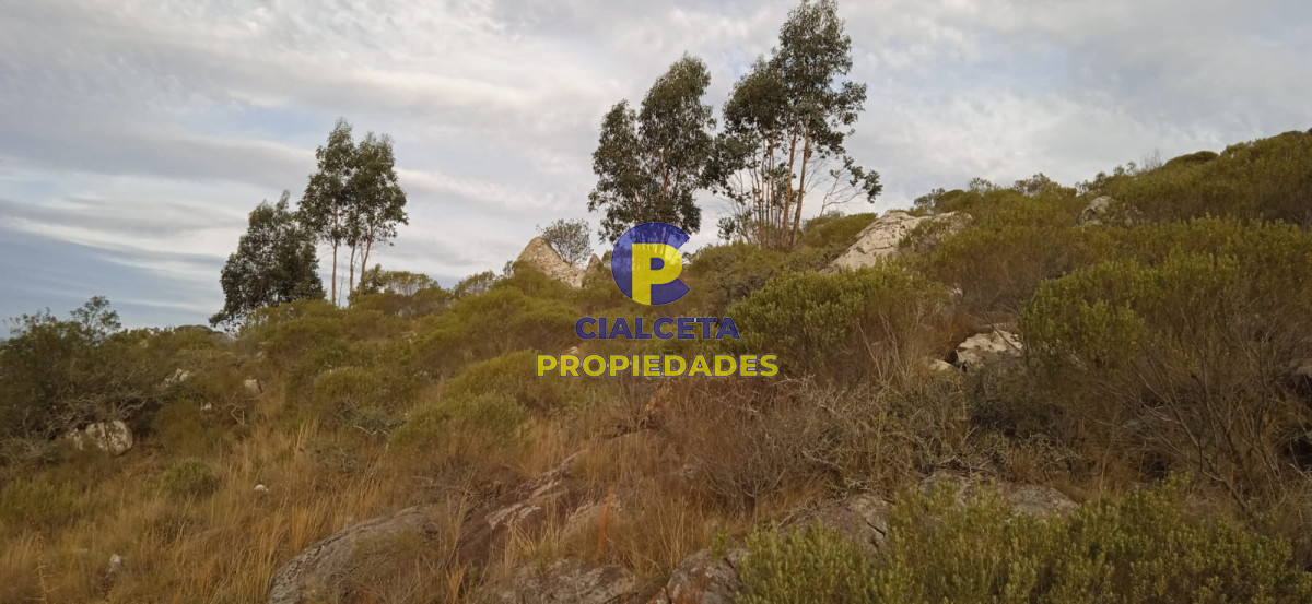 Campo Ref.50 - 5 hectáreas, entrega 8.000 U$S y cuotas de 593 U$S