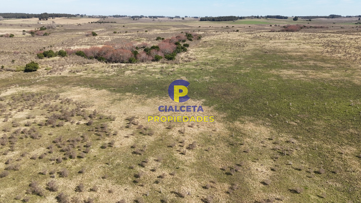 92 hectáreas con cañada y buen acceso - GoPunta - Portal Inmobiliario de Punta del Este - Maldonado