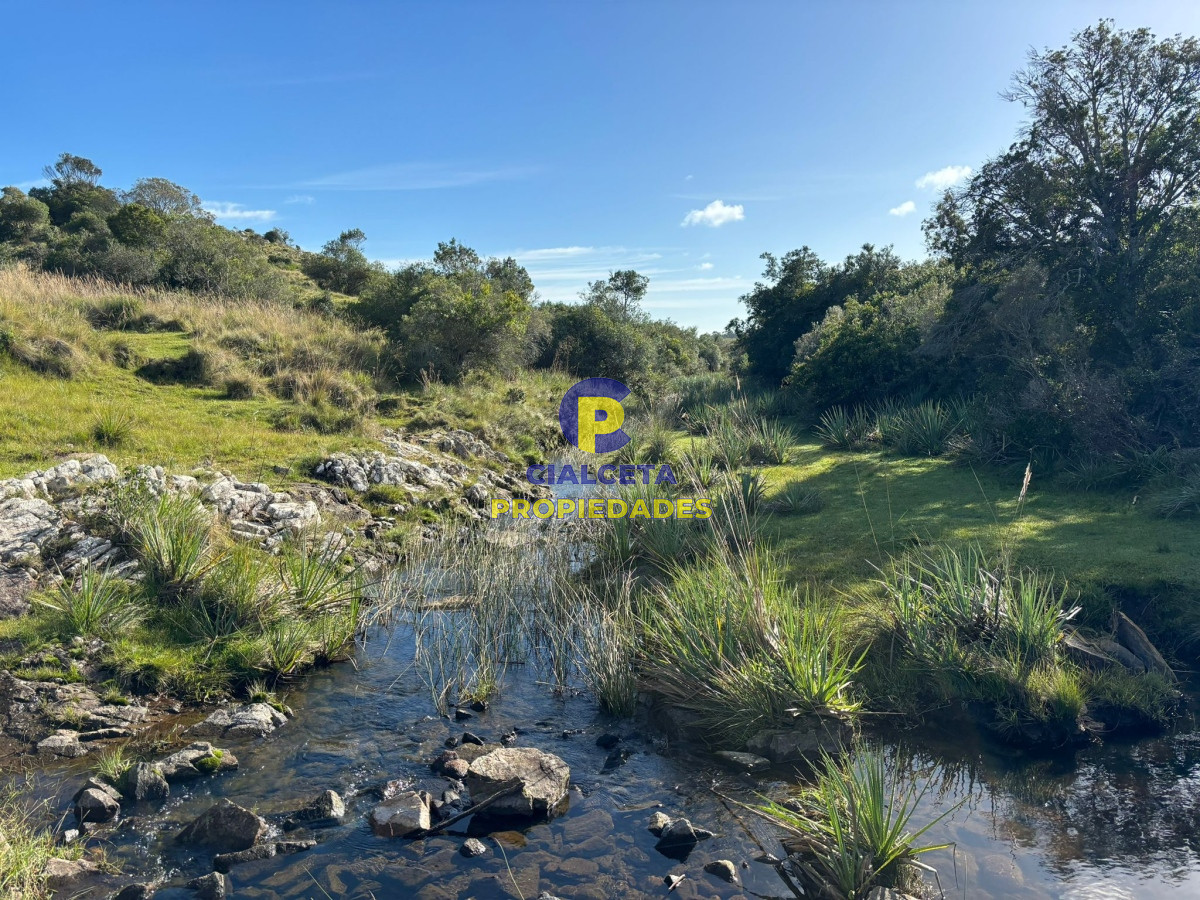 Campo Ref.416 - 96 hectáreas en Maldonado, excelentes vistas