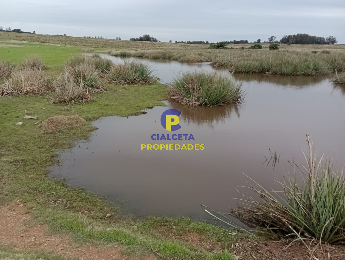 Campo Ref.293 - 15 hectáreas en Maldonado