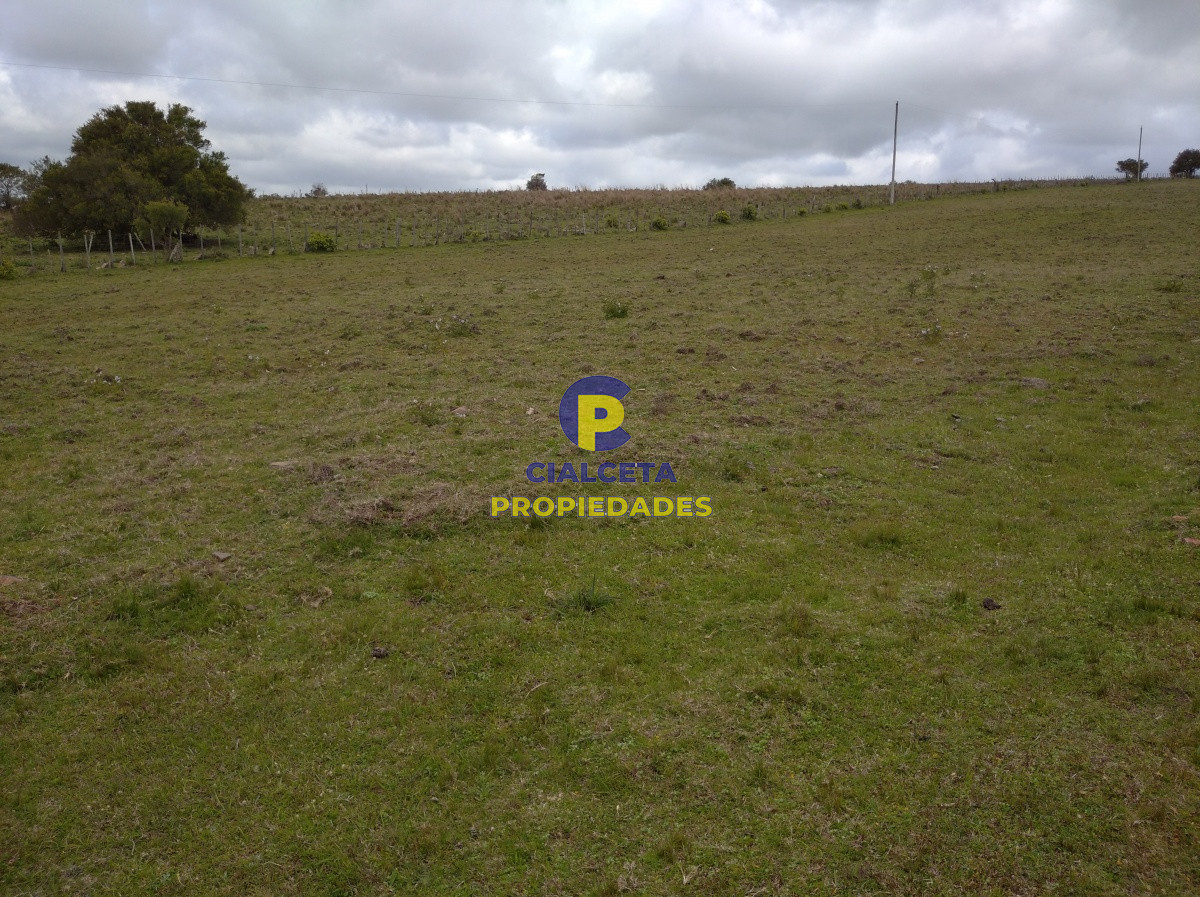 Campo Ref.91 - 267 hectáreas en Maldonado
