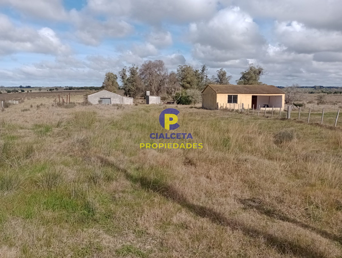Campo Ref.280 - 102 hectáreas en Canelones