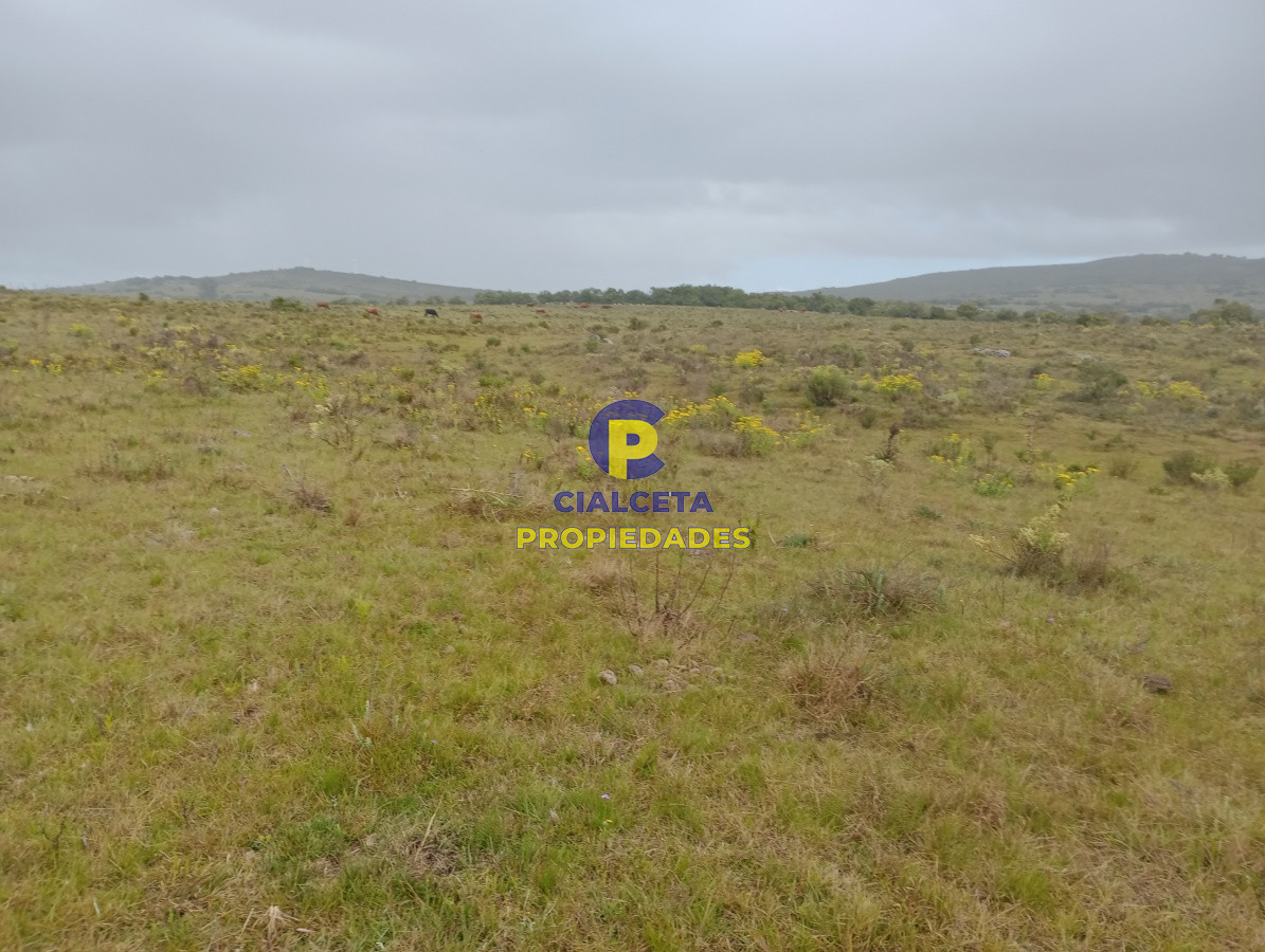 Campo Ref.113 - 5 hectáreas en Maldonado, Pueblo Edén