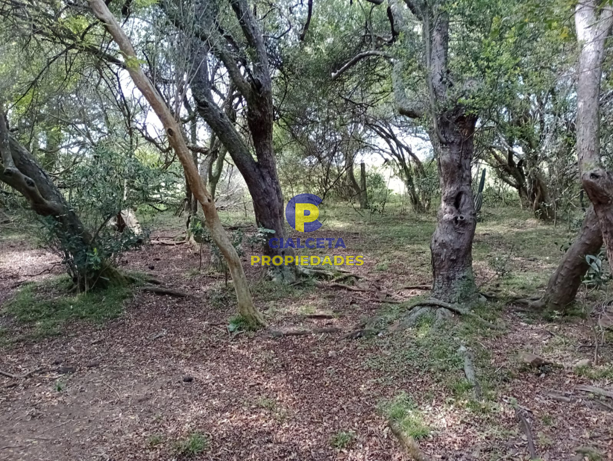 Campo Ref.317 - 55 hectáreas en Maldonado