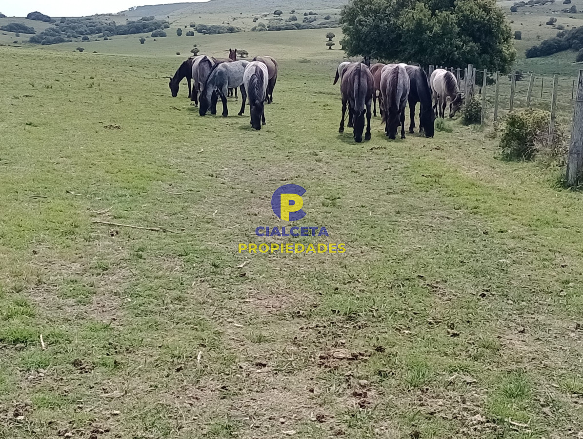 Campo Ref.315 - 28 hectáreas y media en Maldonado