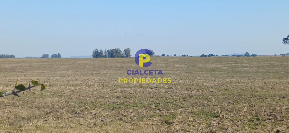 386 hectáreas en Maldonado - GoPunta - Portal Inmobiliario de Punta del Este - Maldonado