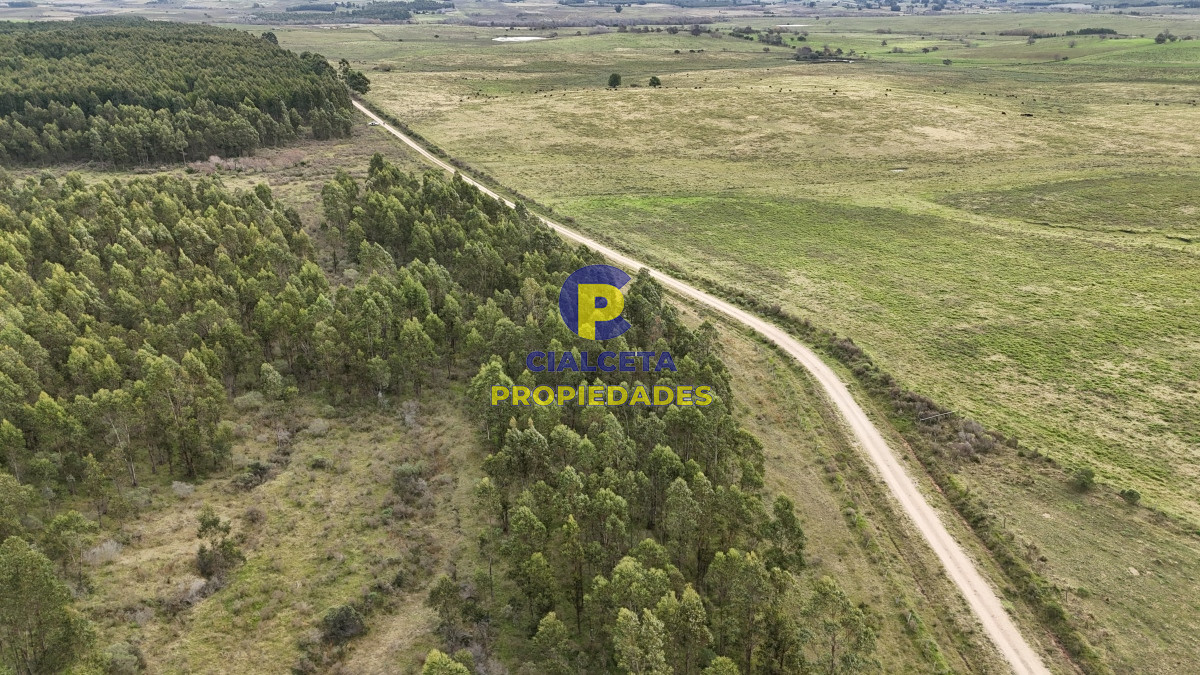 Campo Ref.449 - 39 hectáreas y media en Canelones