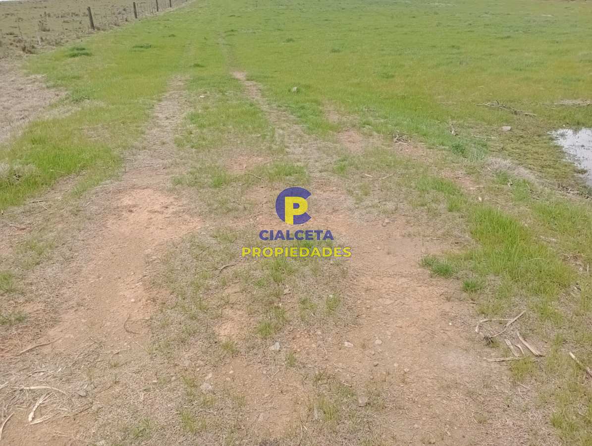 Campo Ref.293 - 15 hectáreas en Maldonado