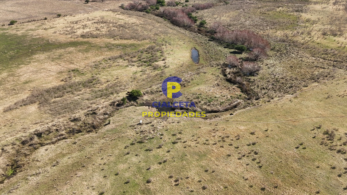 92 hectáreas con cañada y buen acceso - GoPunta - Portal Inmobiliario de Punta del Este - Maldonado