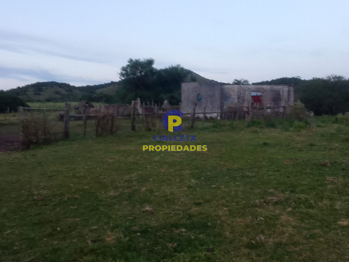Campo Ref.89 - 330 hectáreas en Lavalleja