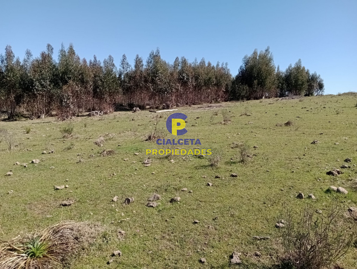 Campo Ref.307 - 16 hectáreas en Maldonado