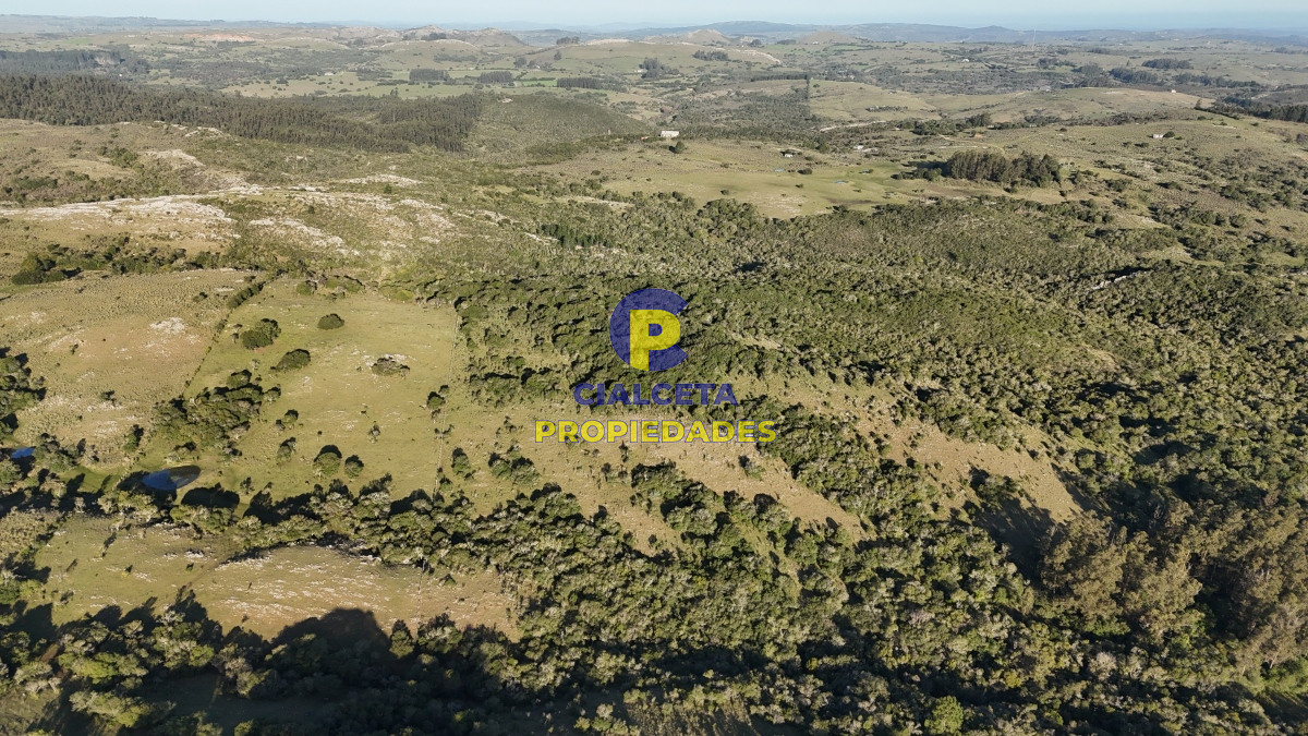 Campo Ref.526 - 60 hectáreas con casa , monte nativo, hermoso lugar