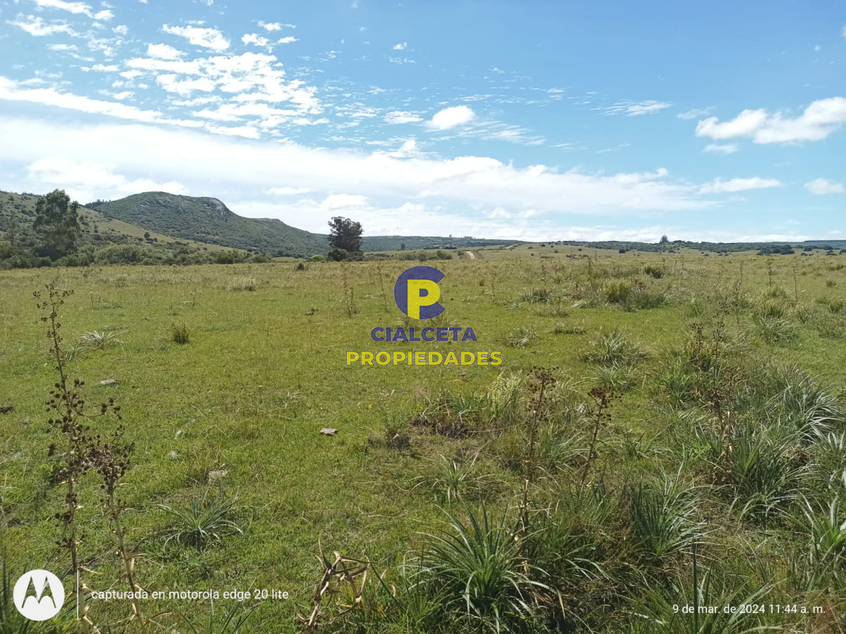 Campo Ref.408 - 16 hectáreas en Minas a la venta