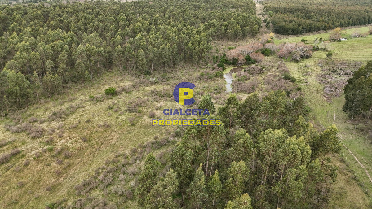 Campo Ref.449 - 39 hectáreas y media en Canelones
