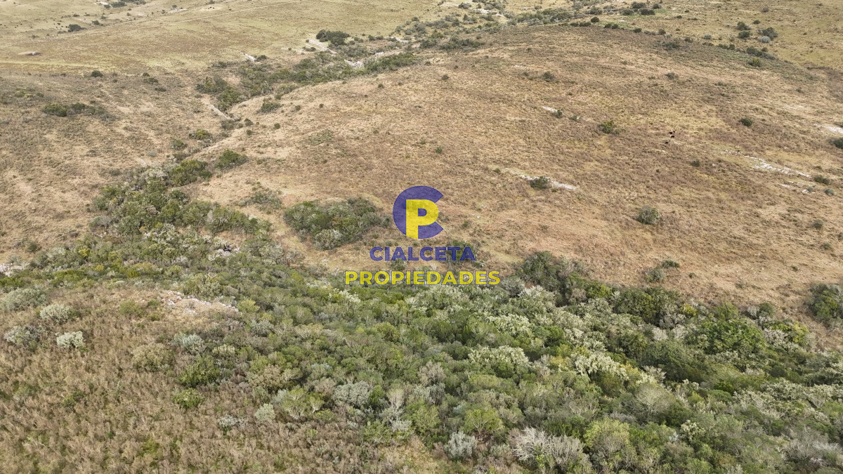 Campo Ref.502 - 86 hectáreas en Maldonado, con aguada, monte y cerro