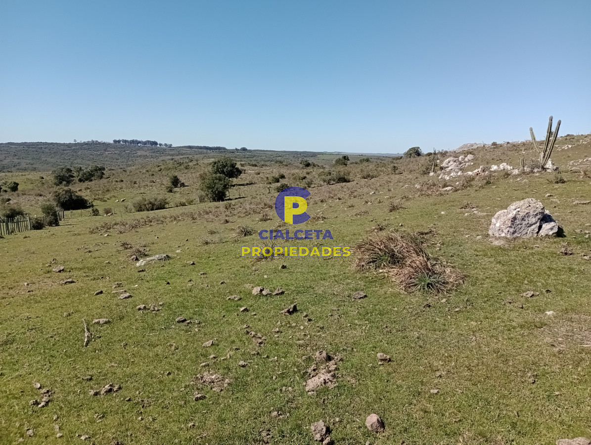 Campo Ref.136 - 811 hectáreas en Treinta y Tres