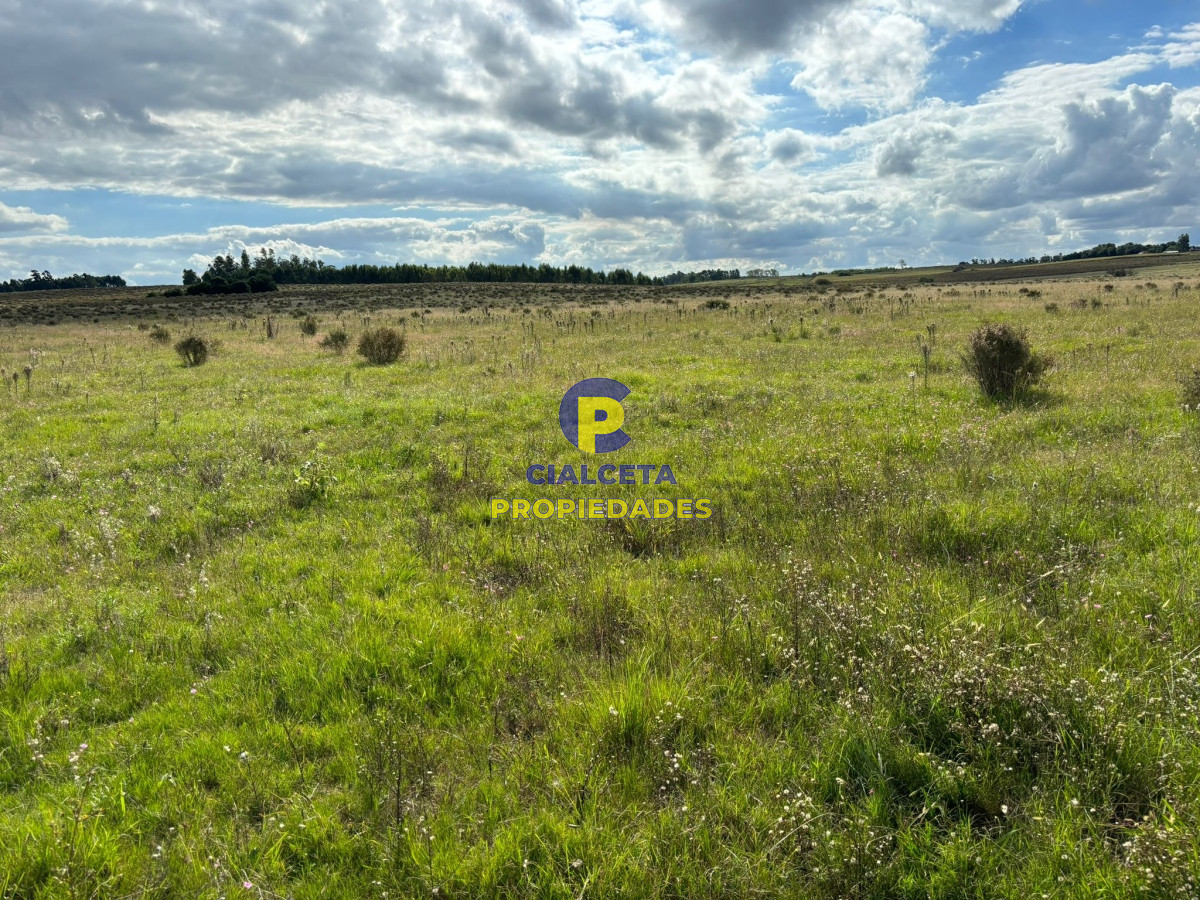92 hectáreas en Migues - GoPunta - Portal Inmobiliario de Punta del Este - Maldonado