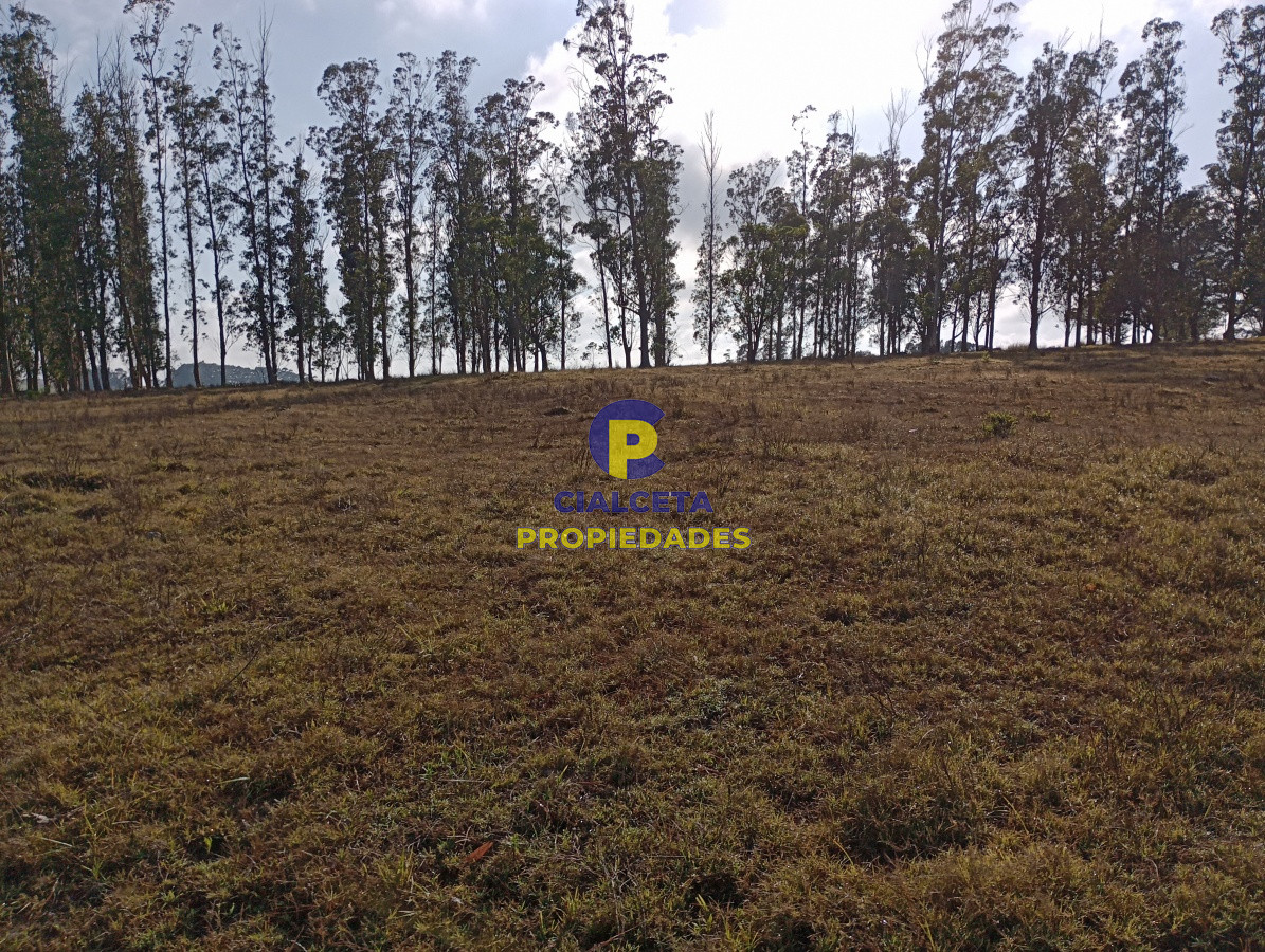 Campo Ref.103 - 94 hectáreas en Maldonado