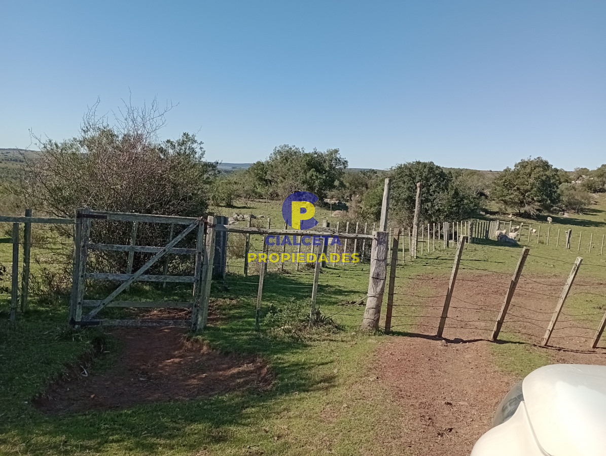 Campo Ref.135 - 2957 hectáreas en Cerro Largo