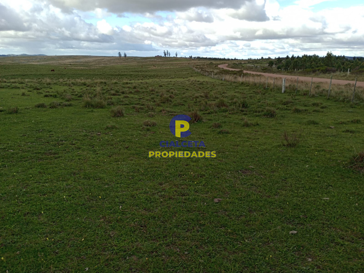 Campo Ref.175 - 140 hectáreas en Lavalleja