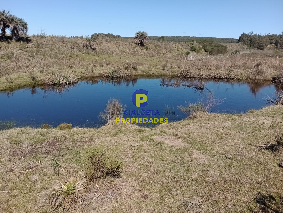 Campo Ref.307 - 16 hectáreas en Maldonado
