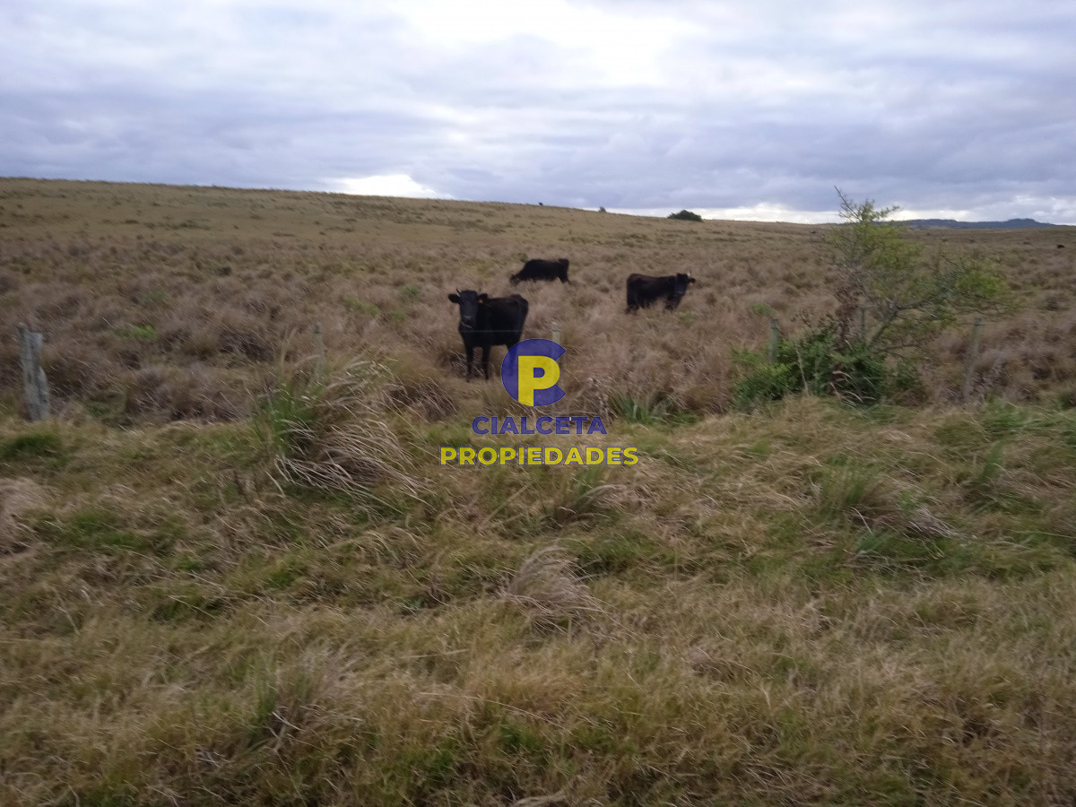 Campo Ref.122 - 60 hectáreas en Garzón