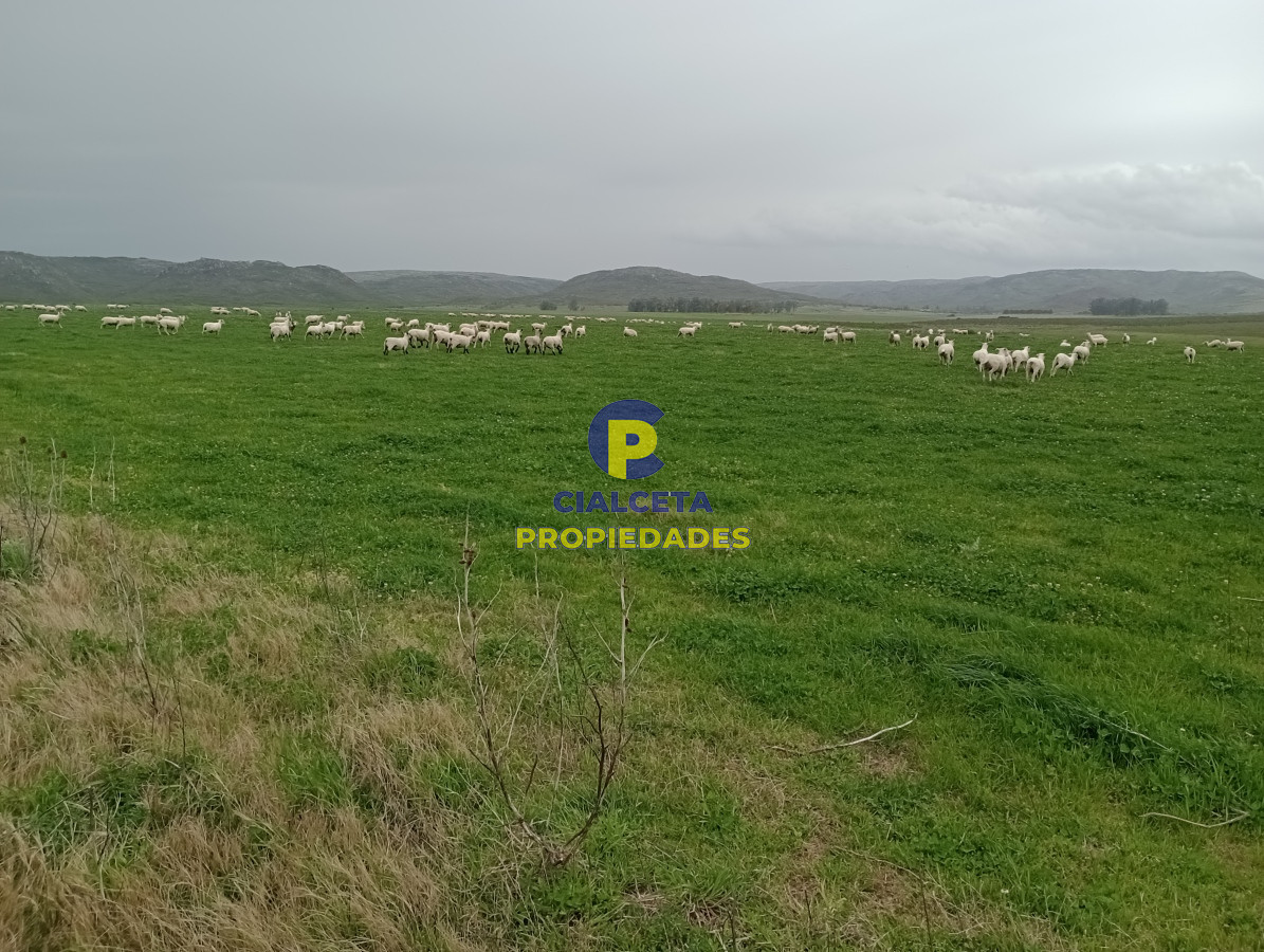Campo Ref.505 - 110 hectáreas agrícolas ganaderas