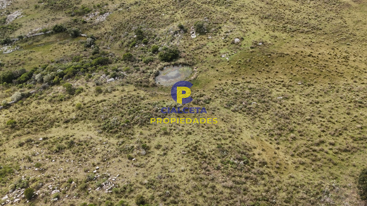 Campo Ref.508 - 31 hectáreas con casa , cerro y buen acceso