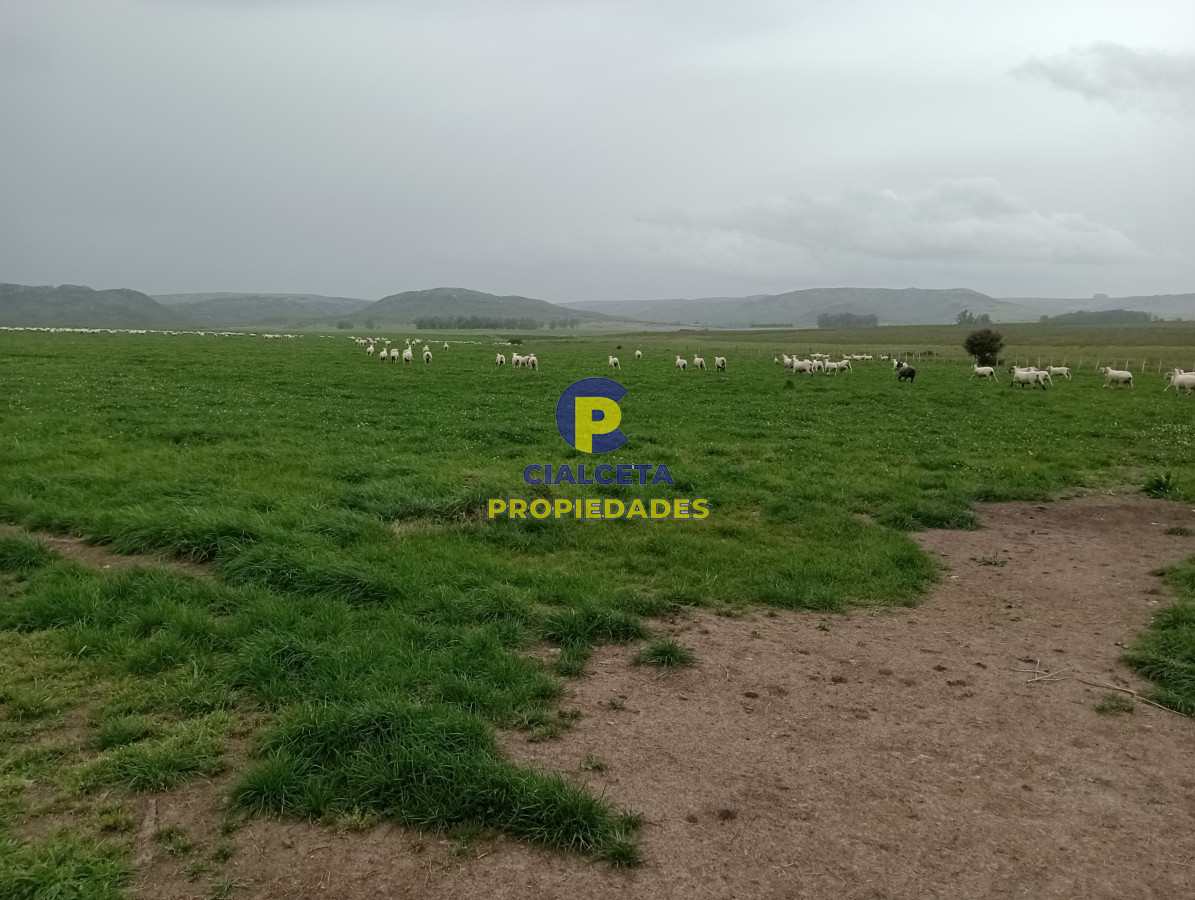 Campo Ref.505 - 110 hectáreas agrícolas ganaderas