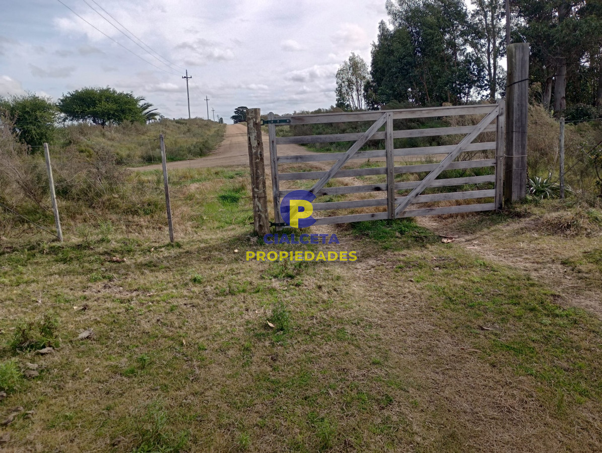 Campo Ref.271 - 21 hectáreas con 8.366 metros en Canelones