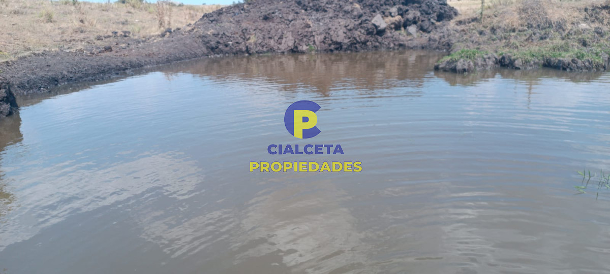 Campo Ref.69 - 180 hectáreas en Lavalleja