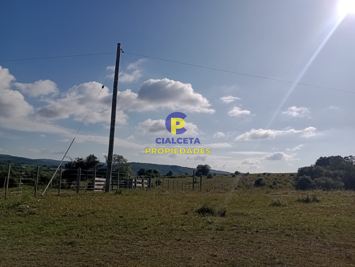 Campo Ref.228 - 39 hectáreas en Maldonado