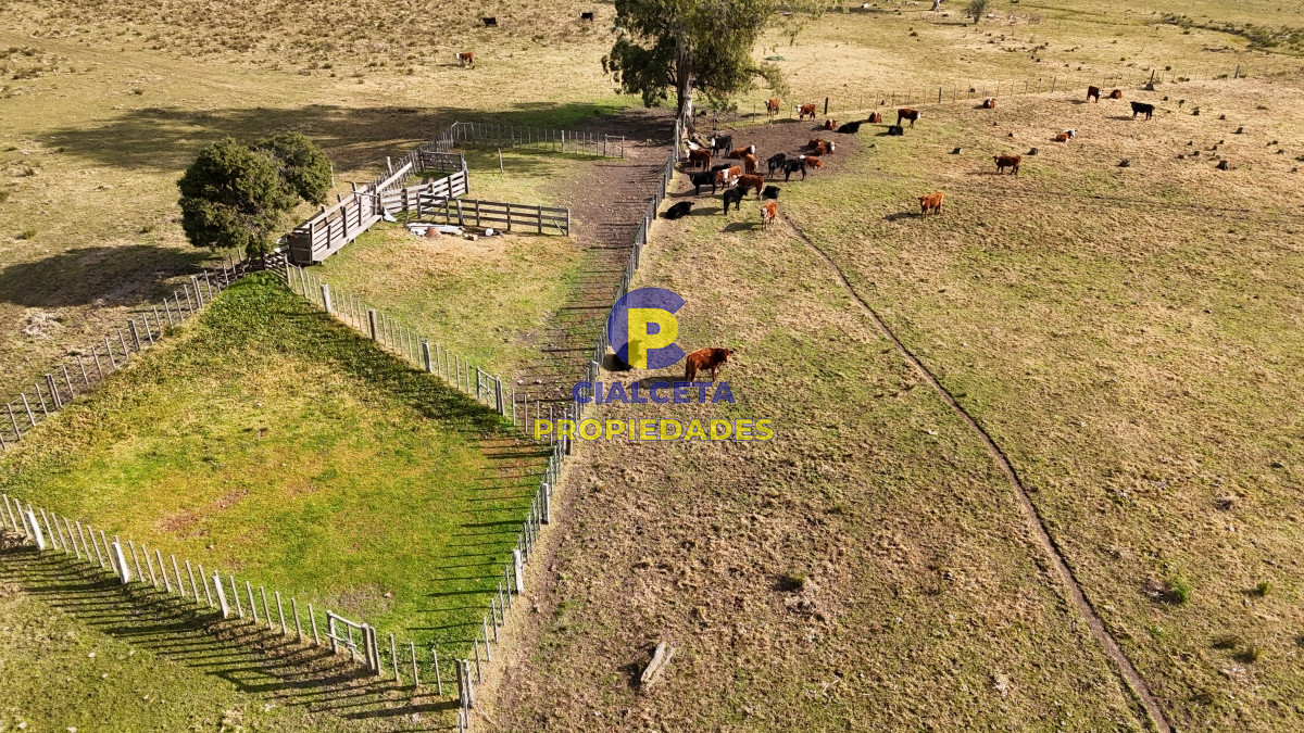 Campo Ref.478 - 273 hectáreas en Maldonado