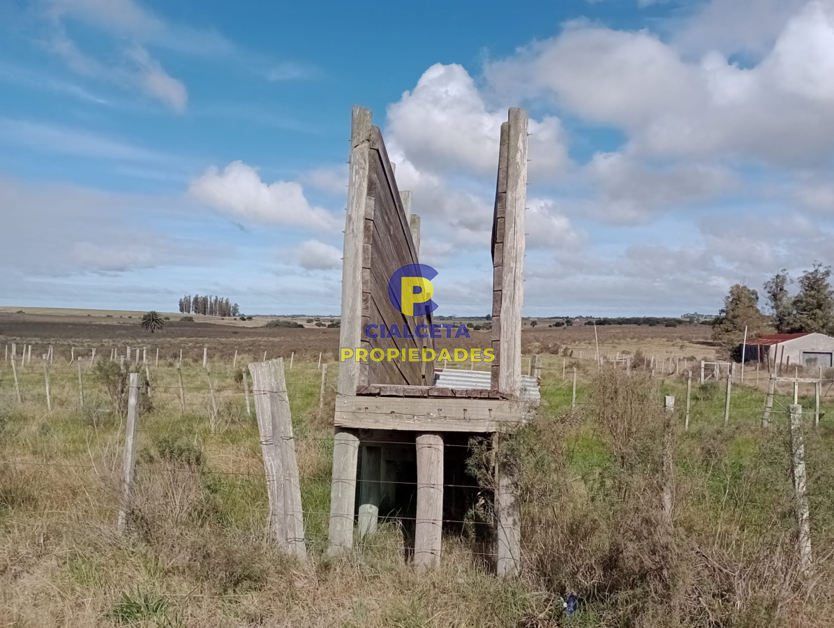 Campo Ref.280 - 102 hectáreas en Canelones