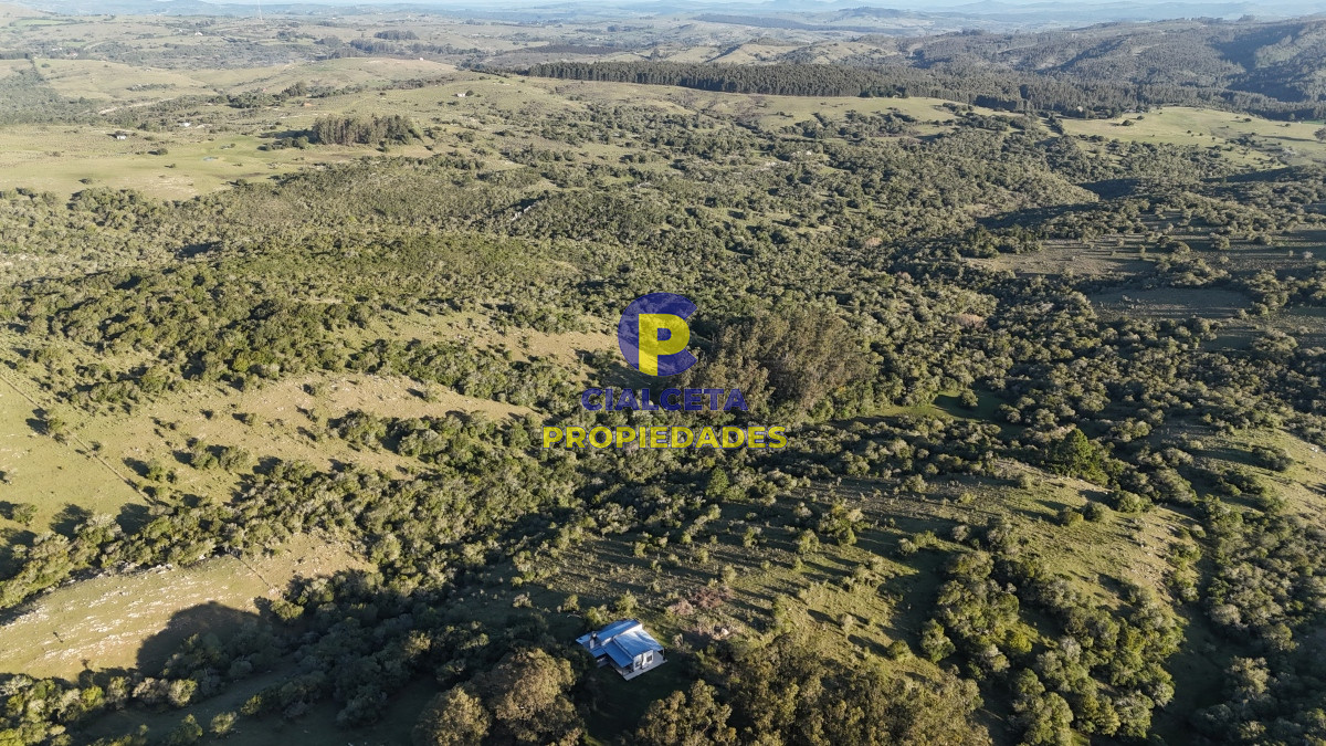 Campo Ref.526 - 60 hectáreas con casa , monte nativo, hermoso lugar