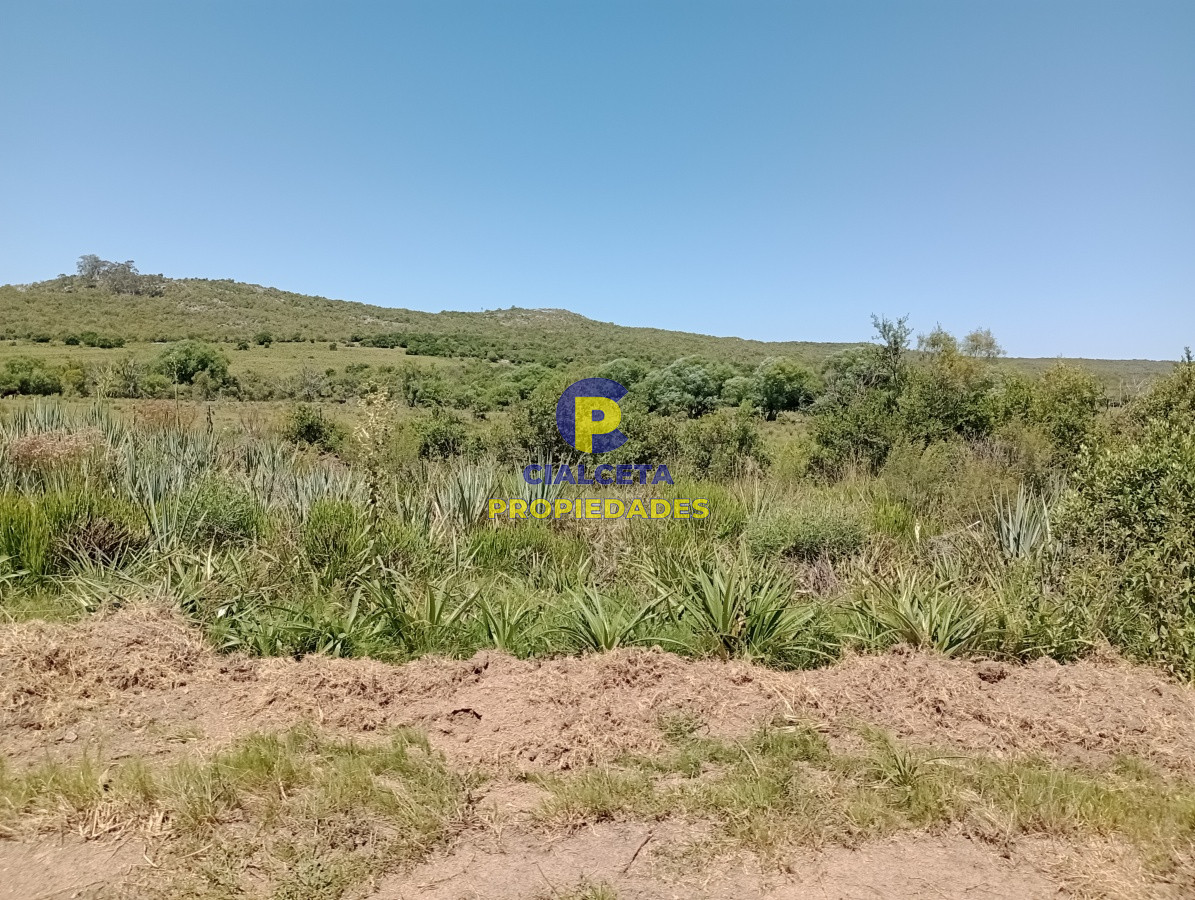 Campo Ref.77 - 419 hectáreas en Rocha