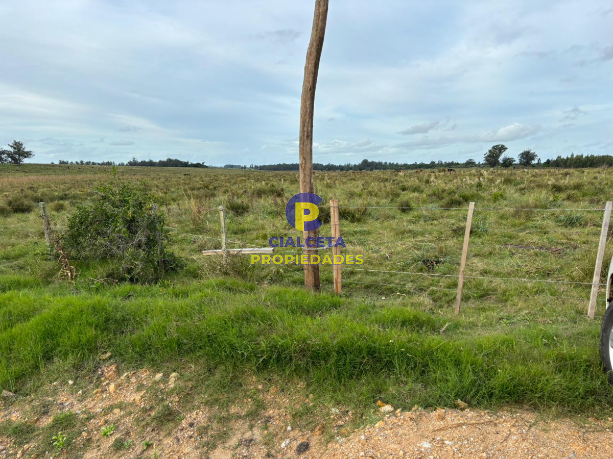 Campo Ref.418 - 50 hectáreas sobre ruta 9