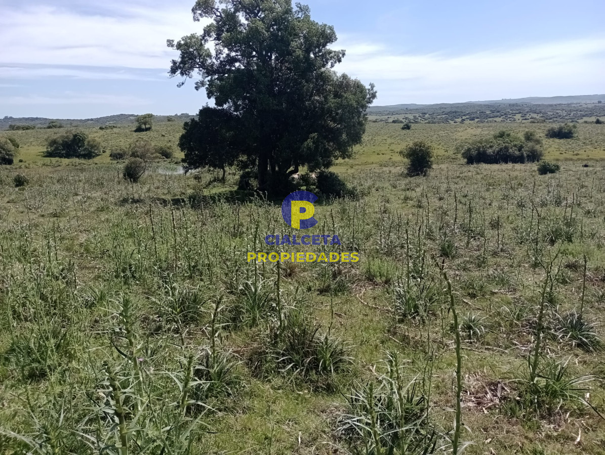 Campo Ref.344 - 54 hectáreas con 9.722 metros en Maldonado