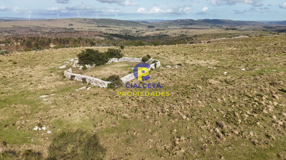 95 hectáreas en Maldonado con cañada - GoPunta - Portal Inmobiliario de Punta del Este - Maldonado