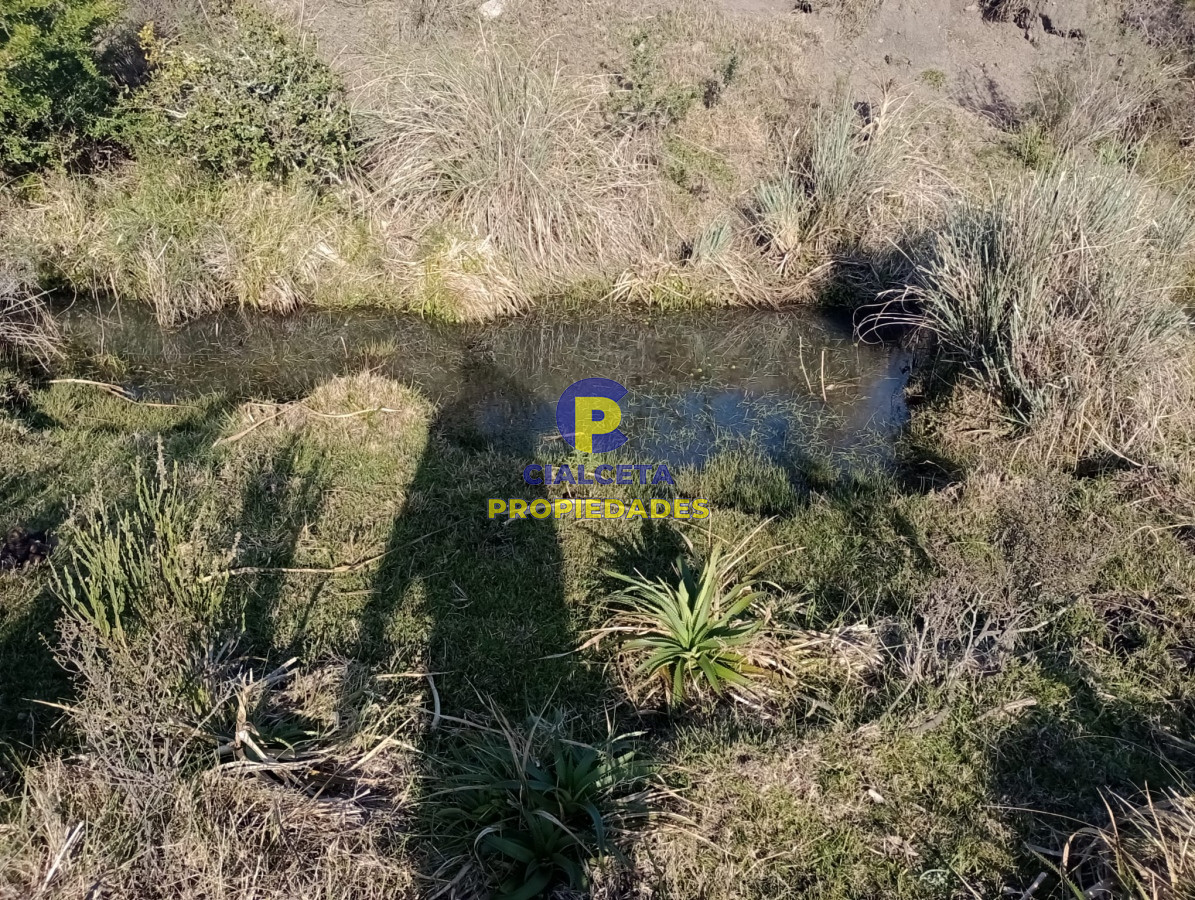 82 hectáreas en Pueblo Edén - GoPunta - Portal Inmobiliario de Punta del Este - Maldonado