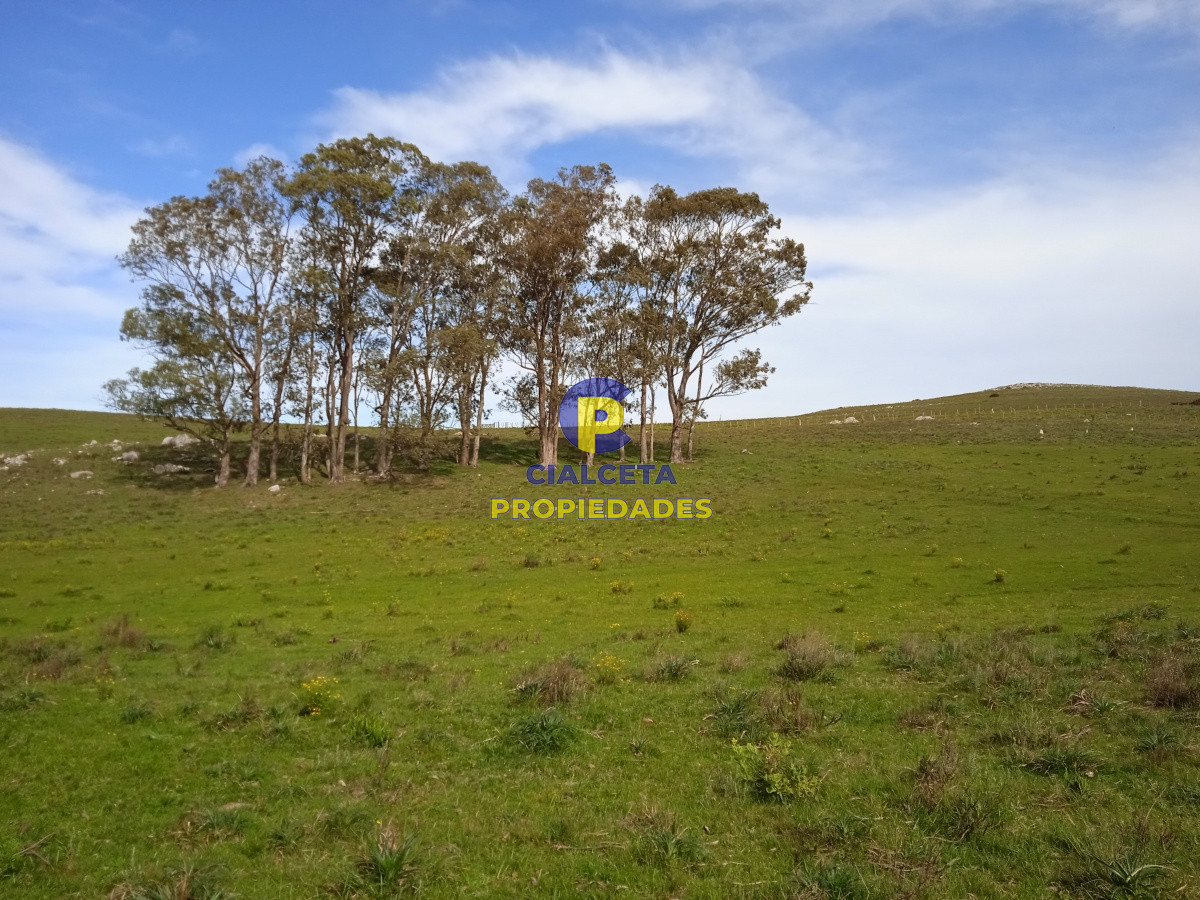 Campo Ref.106 - 79 hectáreas en Lavalleja, ideal fraccionamiento