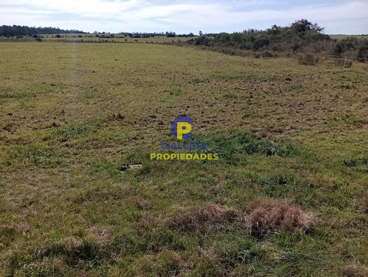 Campo Ref.288 - 5 hectáreas en Maldonado