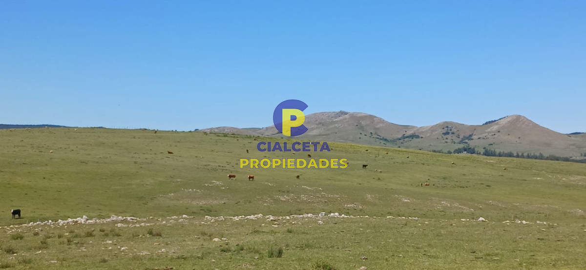 Campo Ref.324 - 215 hectáreas en Lavalleja