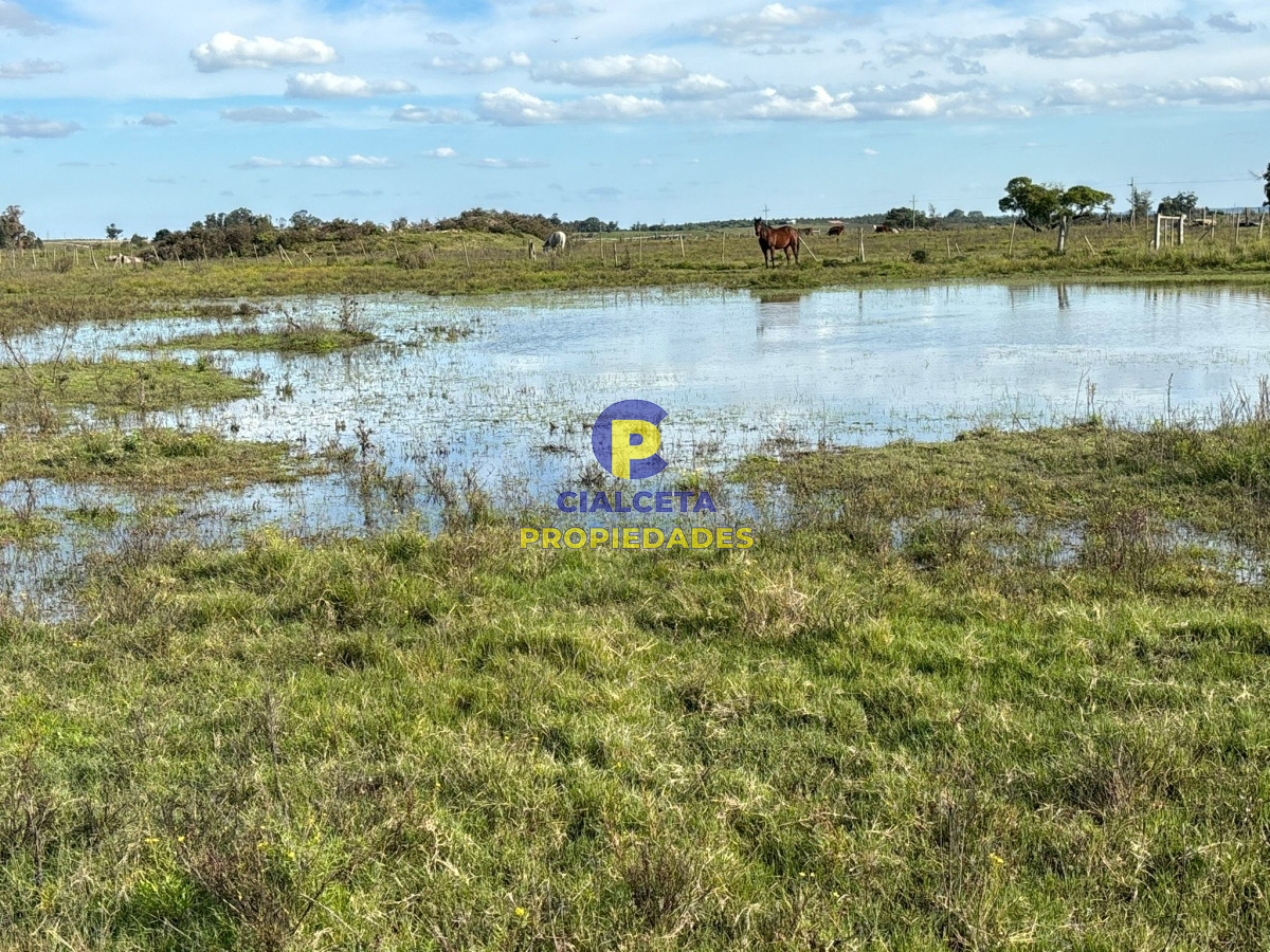 Campo Ref.437 - 15 hectáreas de buena tierra