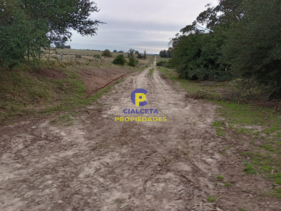 Campo Ref.293 - 15 hectáreas en Maldonado
