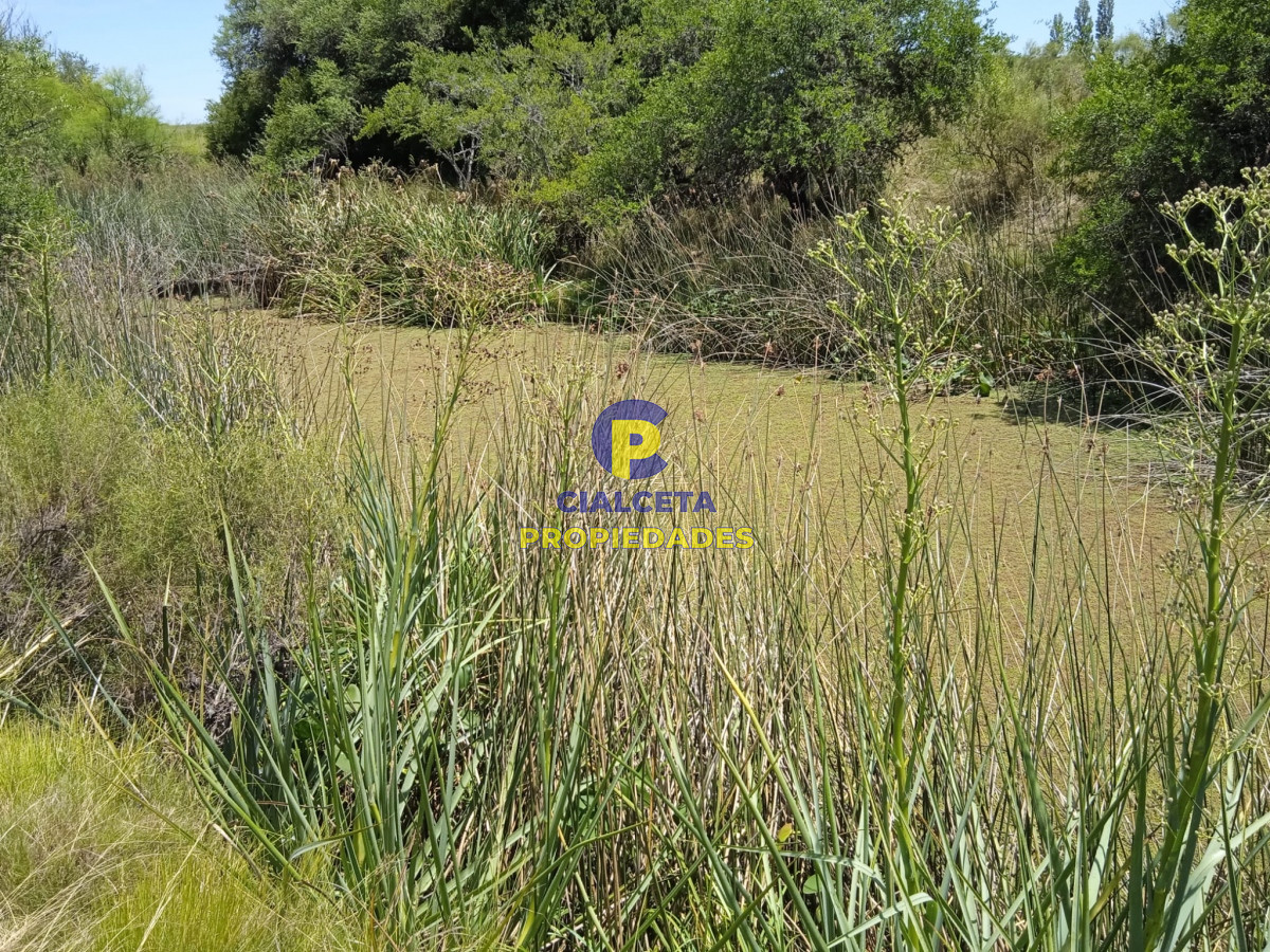 Campo Ref.273 - 23 hectáreas en Lavalleja con arroyo