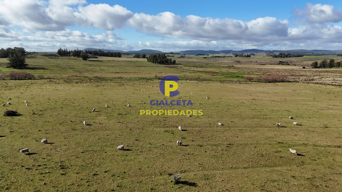 Campo Ref.454 - 430 hectáreas en Minas
