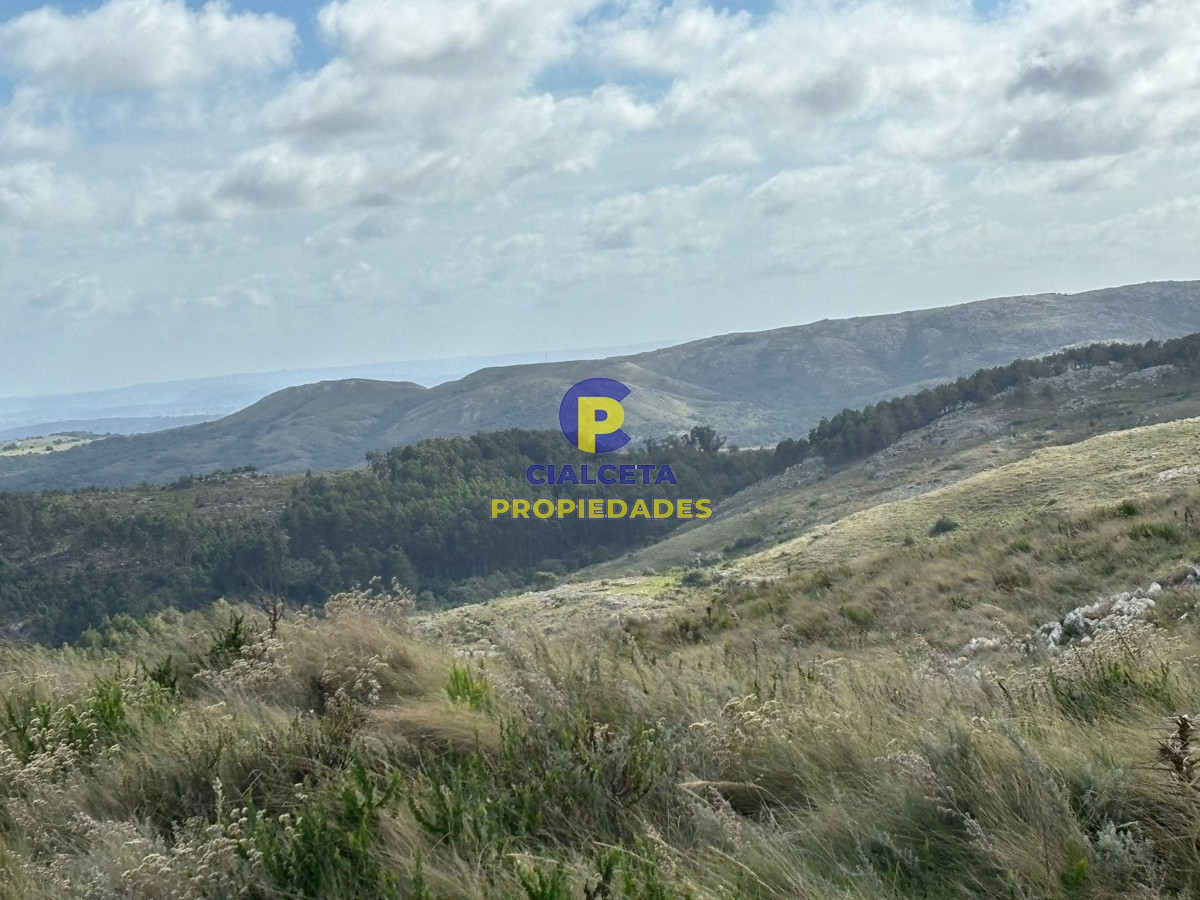 96 hectáreas en Maldonado, excelentes vistas - GoPunta - Portal Inmobiliario de Punta del Este - Maldonado